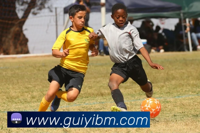 乐竞官网手机版服务体系